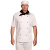 Chefs Short Sleeve Jackets